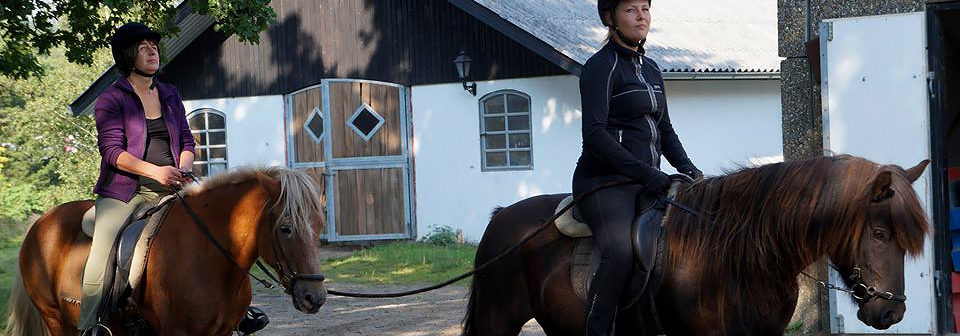 En blind rytter på en brun og flot islandsk hest i sommervejr